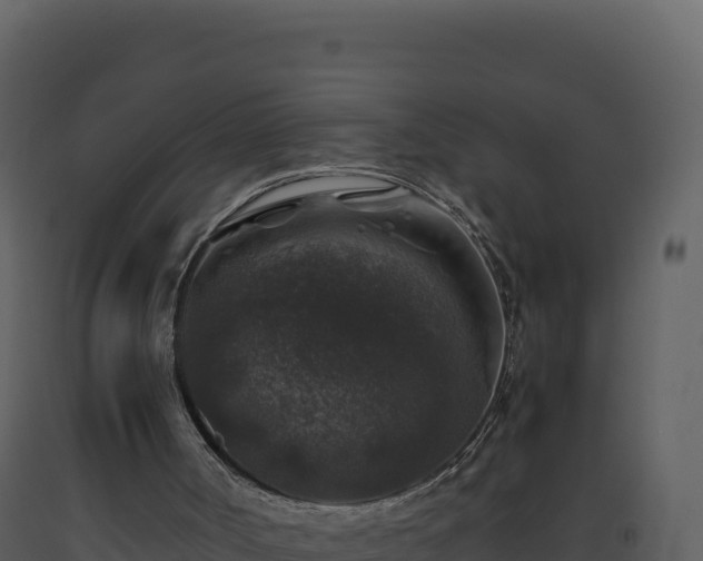 X0000093490002200710191237