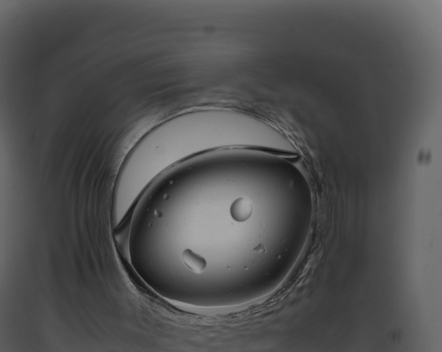 X0000093490003200710191237