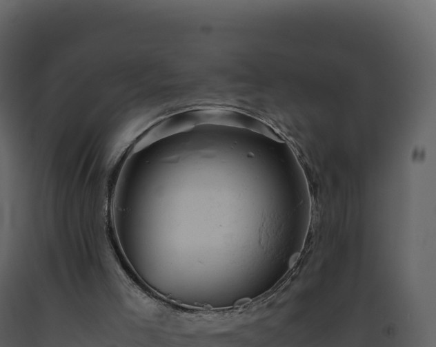 X0000093490005200710191237