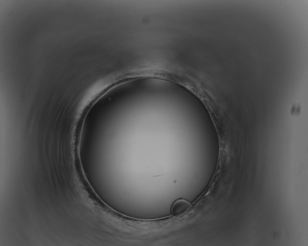 X0000093490006200710191237