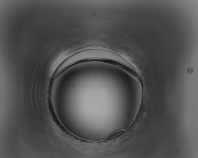 X0000093490007200710191237