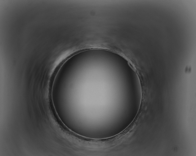 X0000093490008200710191237