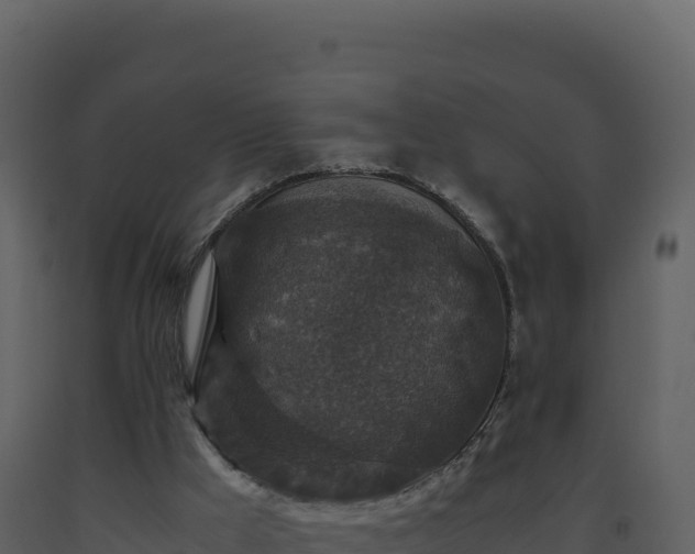 X0000093490009200710191237