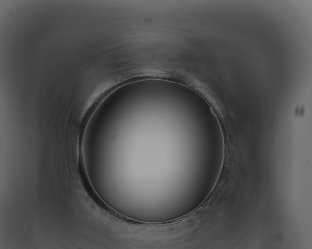 X0000093490011200710191237