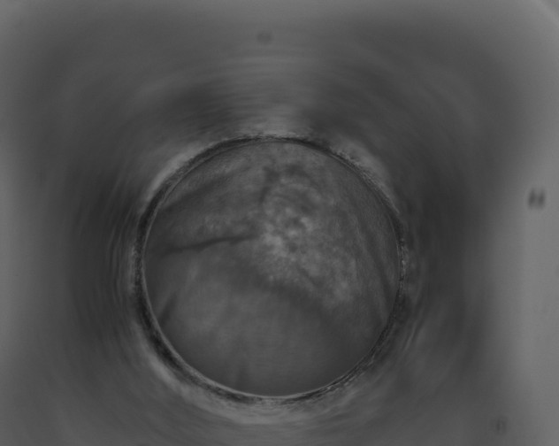 X0000093490012200710191237