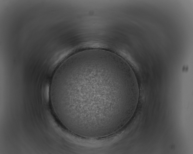 X0000093490014200710191237