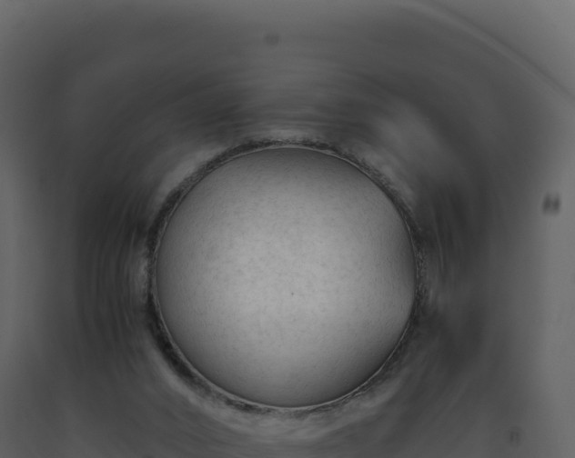 X0000093490016200710191237