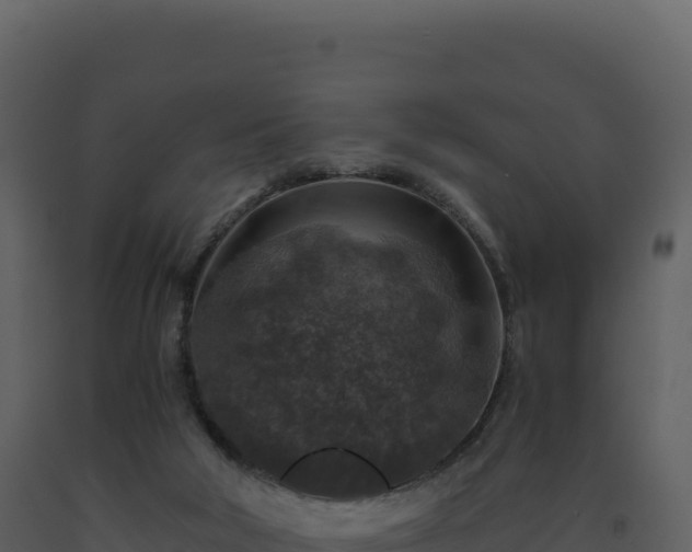 X0000093490018200710191237