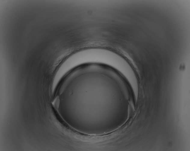 X0000093490019200710191237