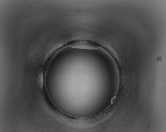 X0000093490020200710191237