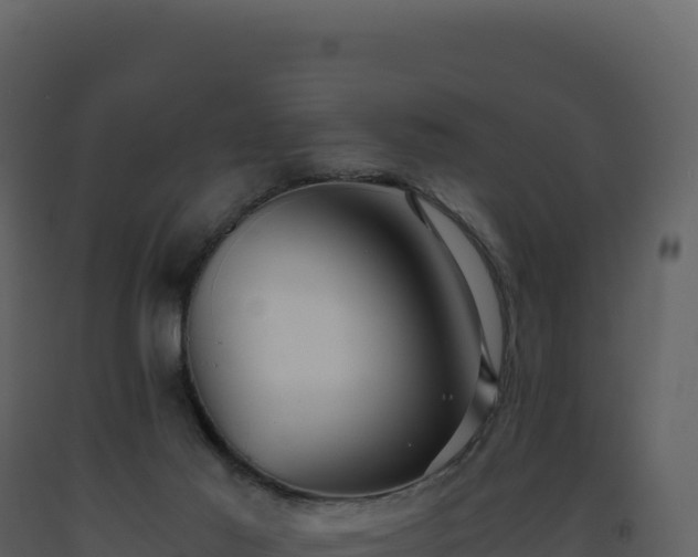 X0000093490021200710191237