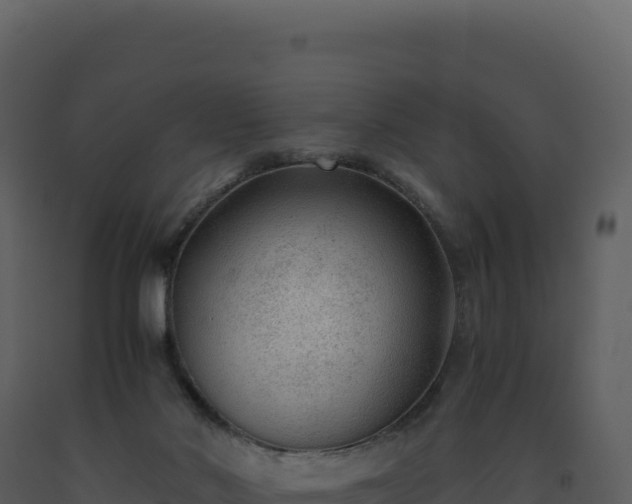 X0000093490022200710191237