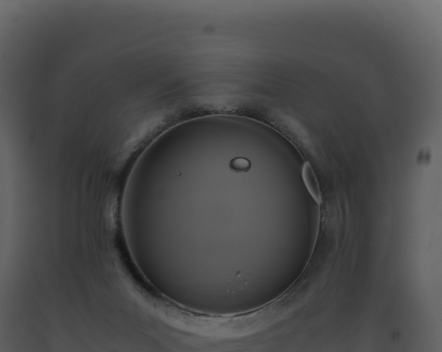 X0000093490023200710191237