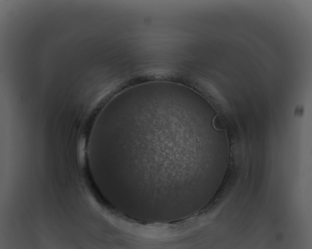 X0000093490024200710191237