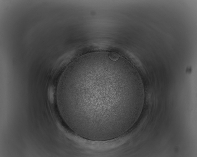 X0000093490026200710191237