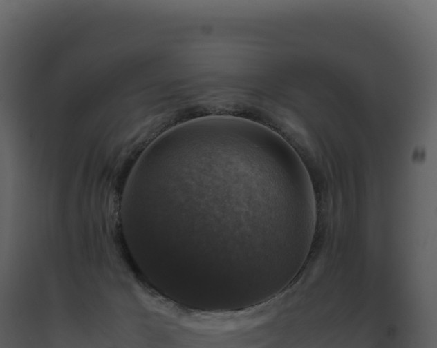 X0000093490029200710191237