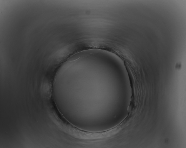 X0000093490031200710191237