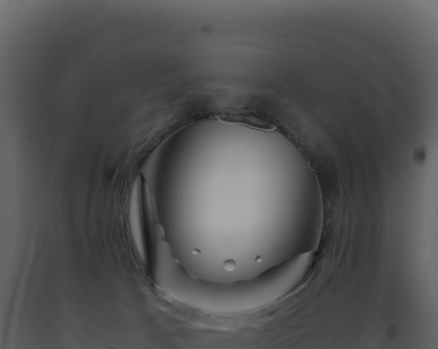 X0000093490033200710191237