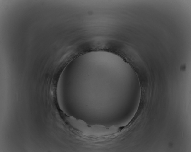 X0000093490035200710191237