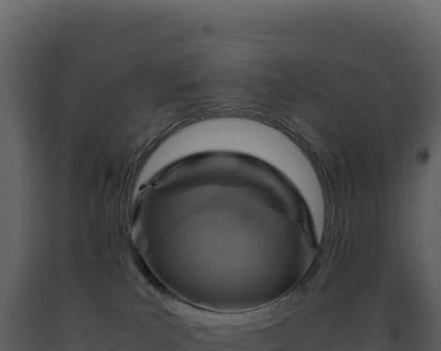 X0000093490039200710191237