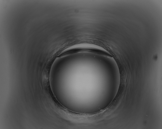 X0000093490040200710191237