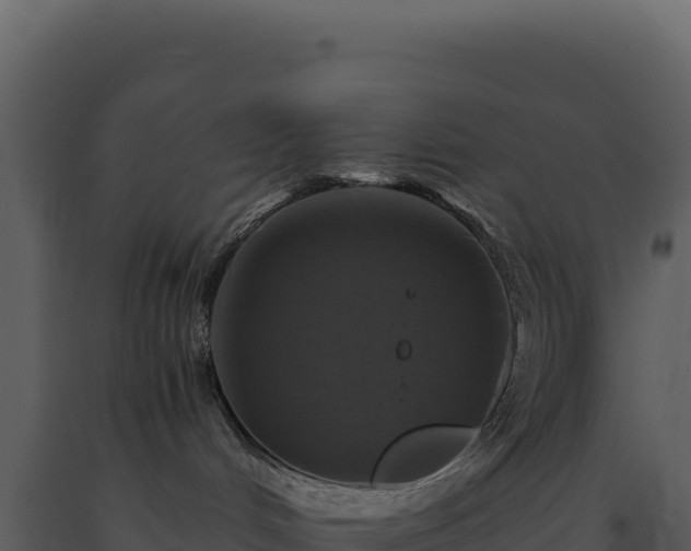 X0000093490048200710191237