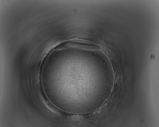 X0000093490050200710191236