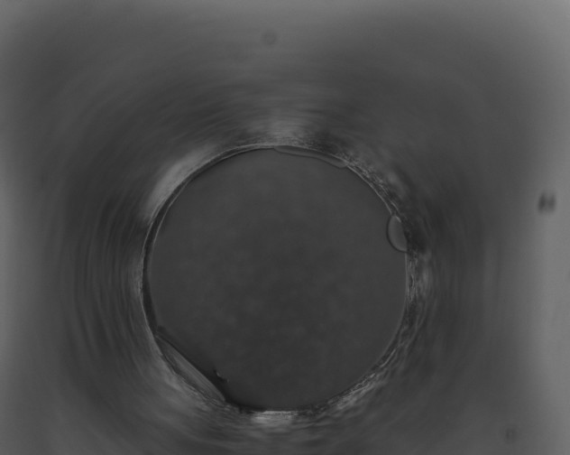 X0000093490051200710191236