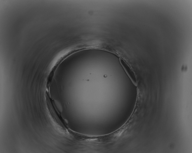 X0000093490054200710191236