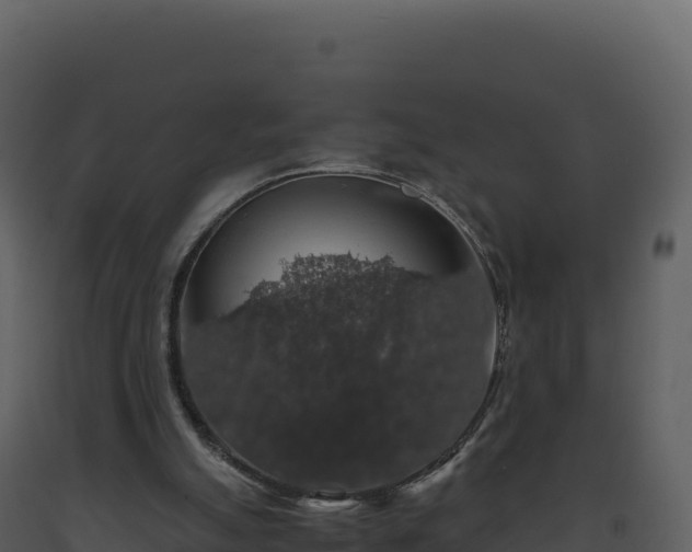 X0000093490055200710191236