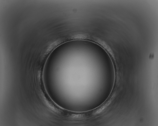 X0000093490057200710191236