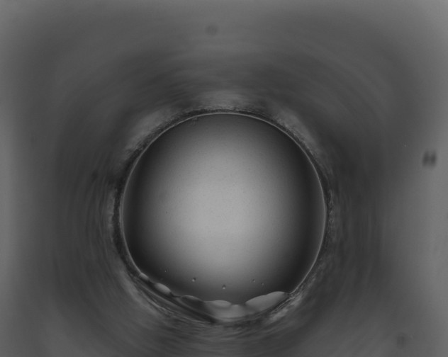 X0000093490058200710191236