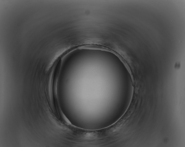 X0000093490060200710191236