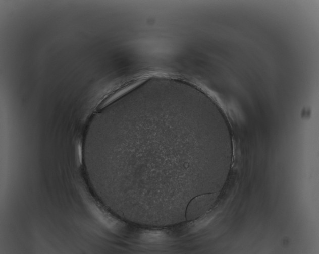 X0000093490061200710191236