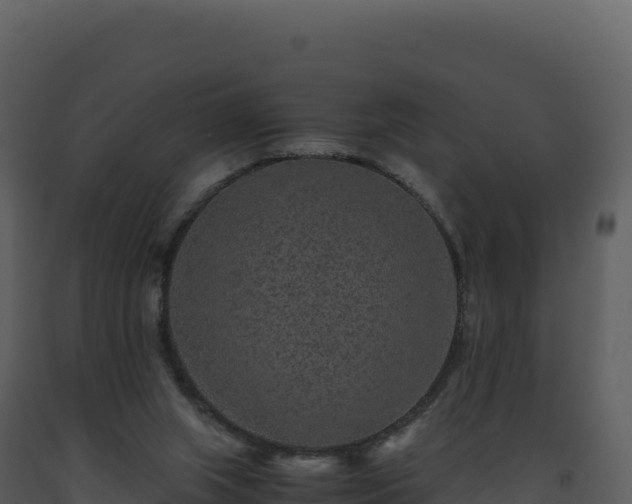 X0000093490063200710191236