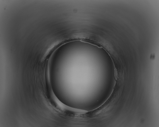 X0000093490064200710191236