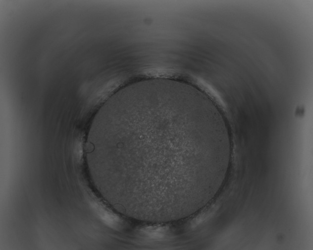 X0000093490065200710191236