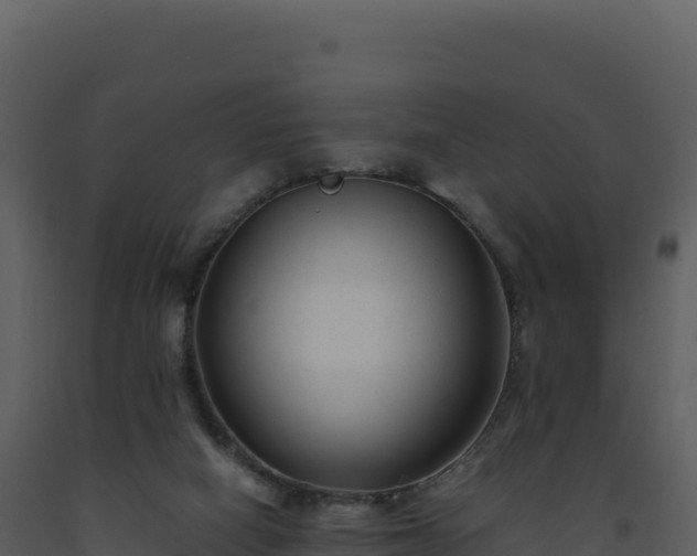 X0000093490066200710191236