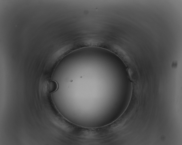 X0000093490071200710191236