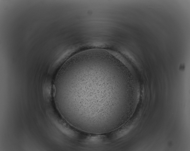 X0000093490072200710191236