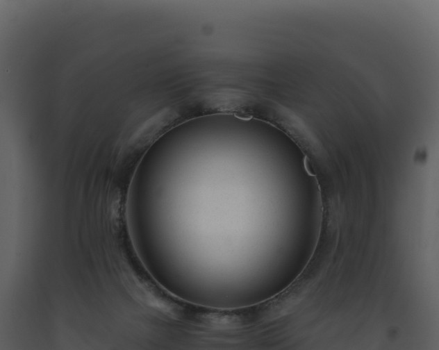 X0000093490073200710191236