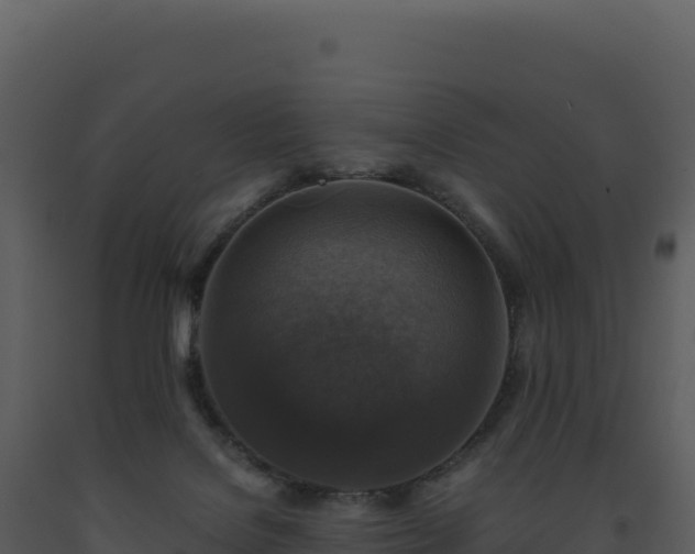 X0000093490076200710191236