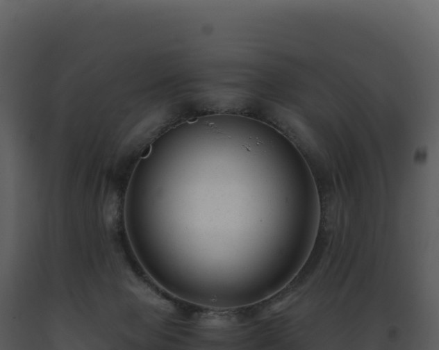 X0000093490077200710191236