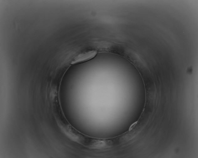 X0000093490083200710191236