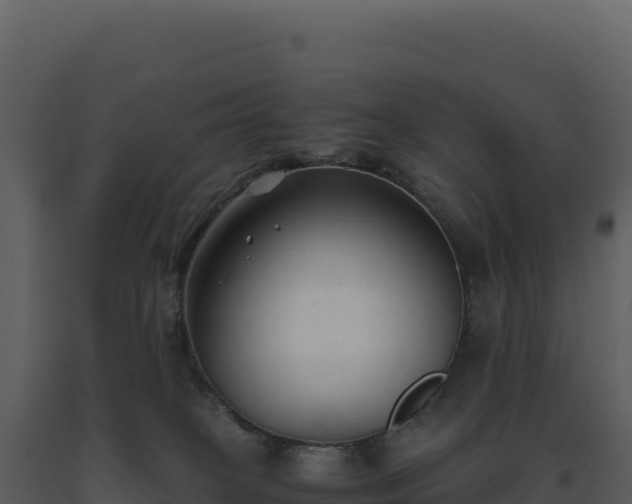 X0000093490085200710191236