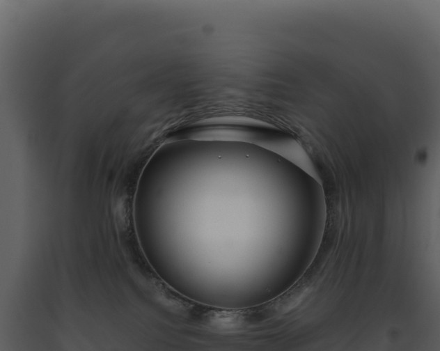 X0000093490088200710191236