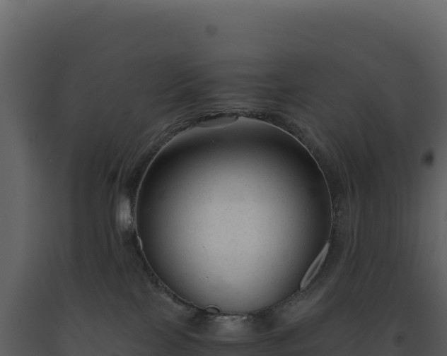 X0000093490089200710191236