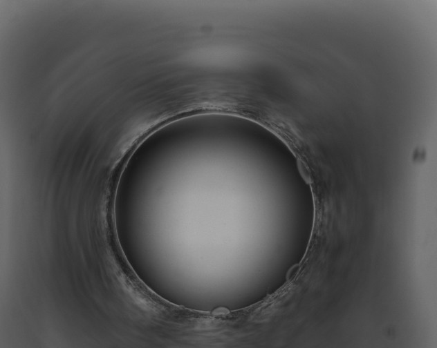 X0000093490098200710191236