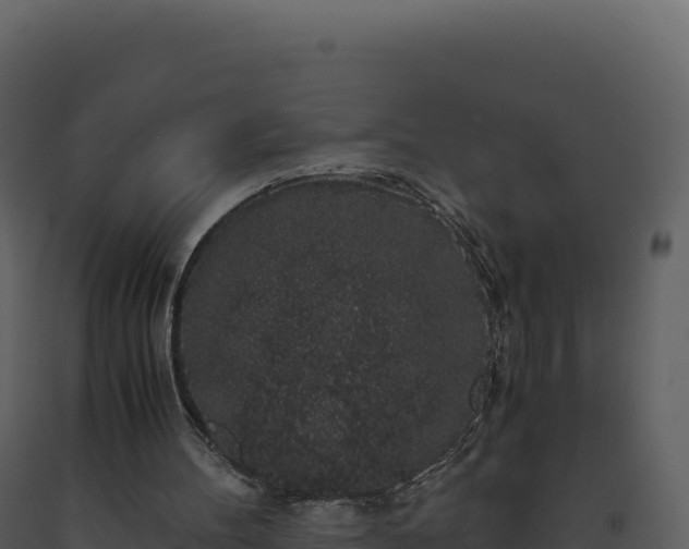 X0000093490100200710191236