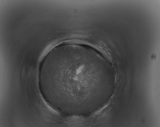 X0000093490101200710191236